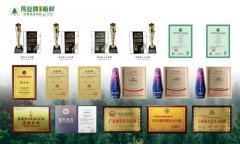 <b>伟业牌ENF板材健康糊口的“实力担任”</b>